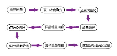 蛋白测序实验步骤