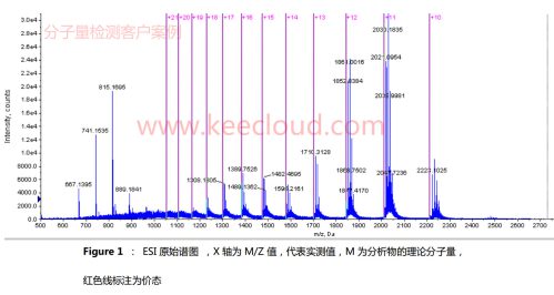 蛋白分子量检测