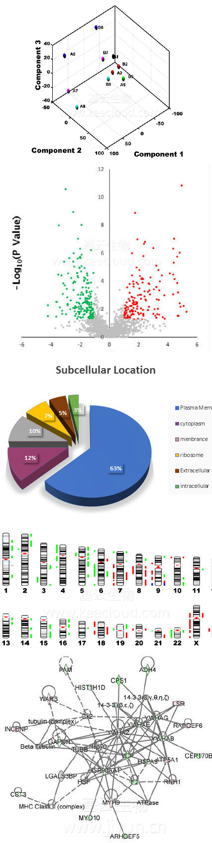 磷酸化蛋白组学分析