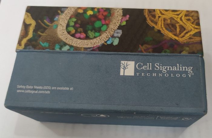 CST蛋白泛素化试剂盒