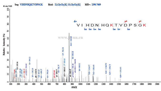 蛋白泛素化后修饰